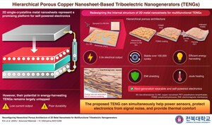 JBNU Researchers Propose Hierarchical Porous Copper Nanosheet-Based Triboelectric Nanogenerators